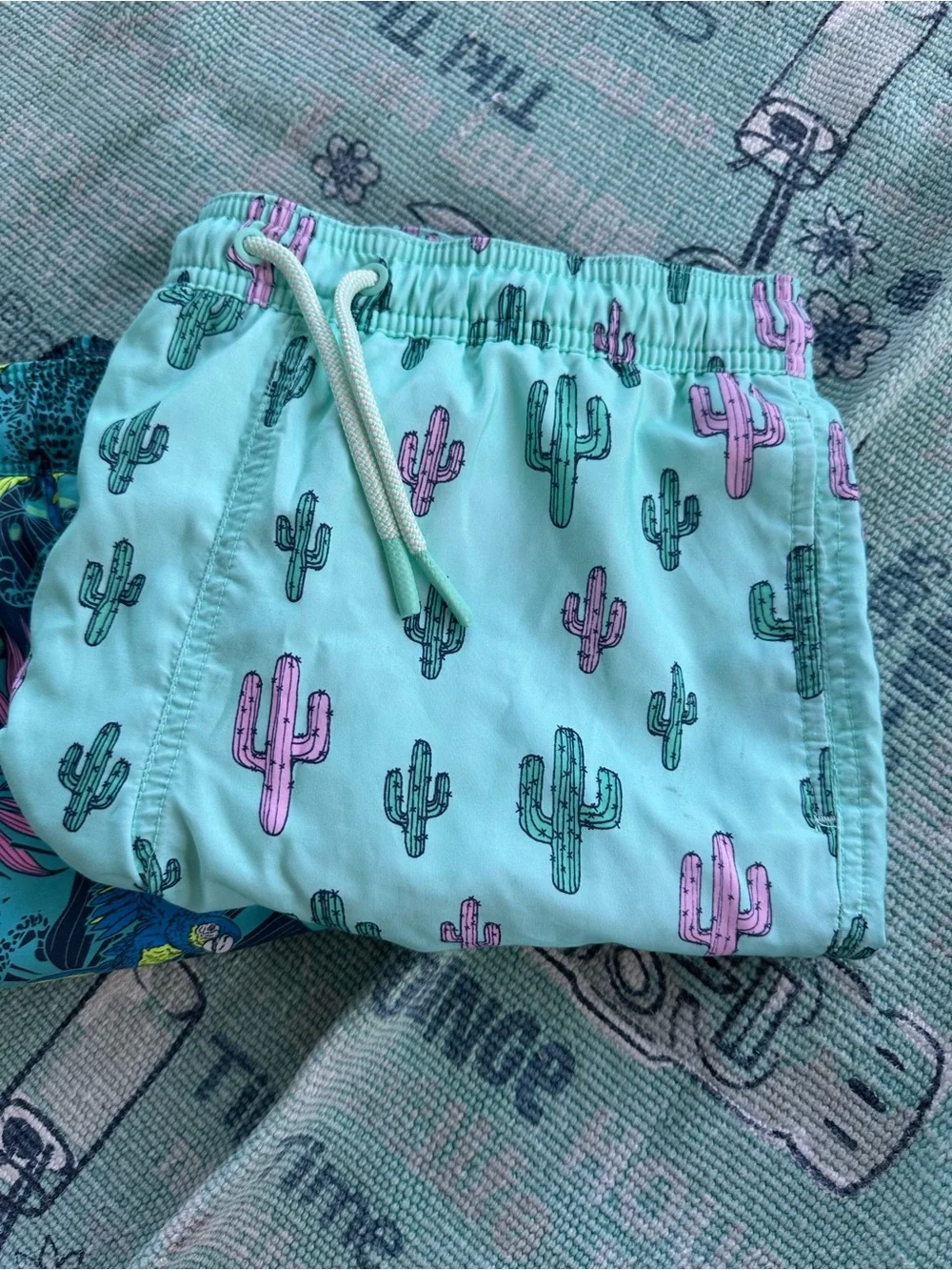 Boys Swim trunk Bundle 3 Shorts - Cat and Jack,Art Class and J. Crew - Size 10